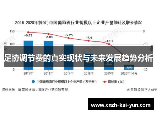 足协调节费的真实现状与未来发展趋势分析